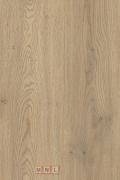 galda virsma 4100x600x38 2738